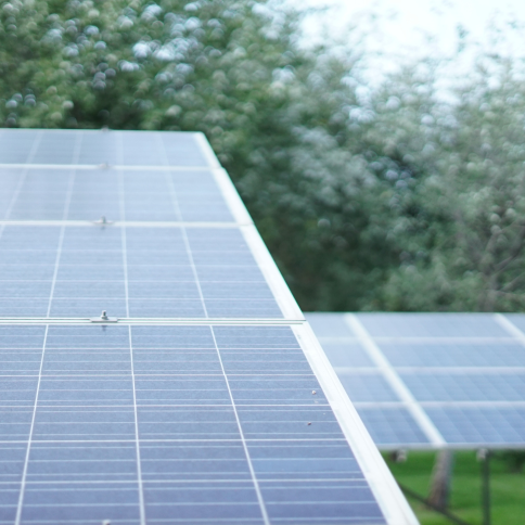 Paneles solares instalados montados en una estructura fija en medio de la naturaleza.