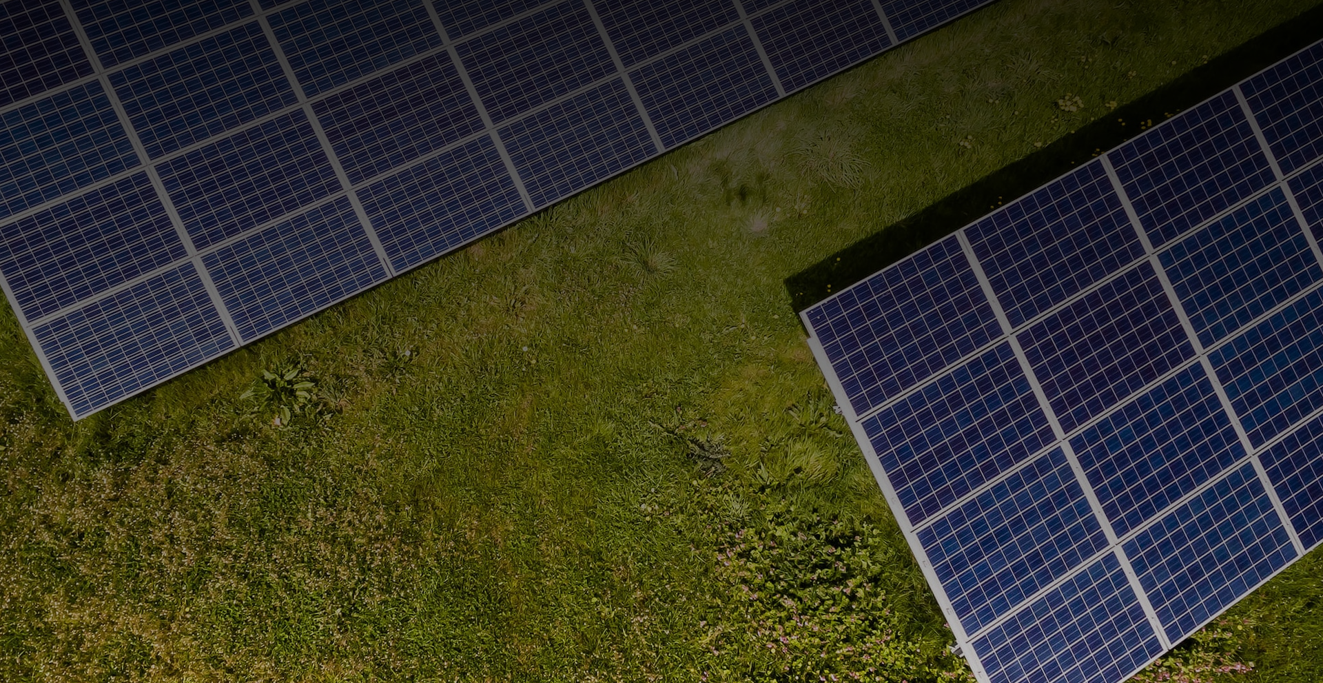 Imagen de fondo de la página de inicio.